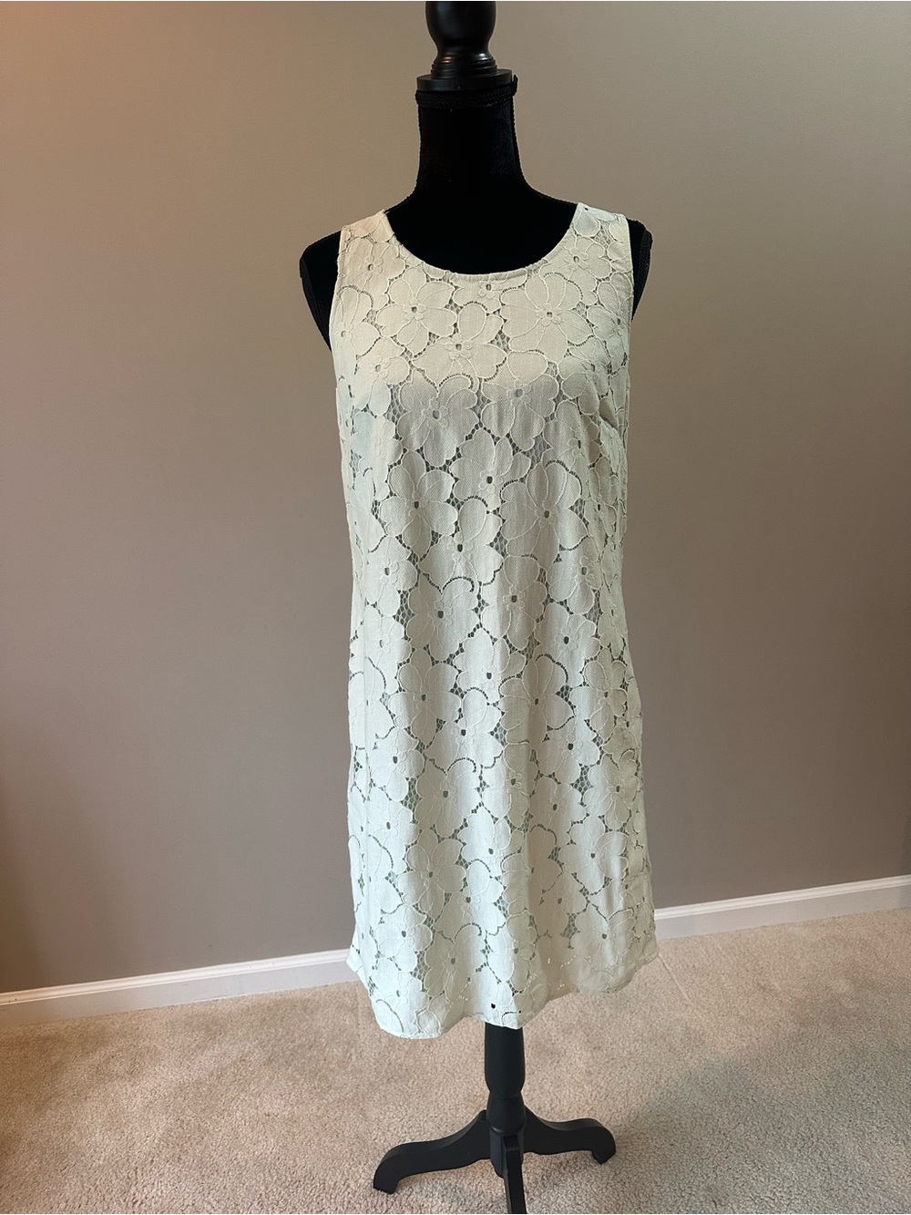 Banana Republic Pale Mint Floral Lace Shift Dress